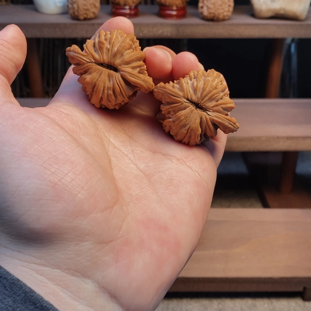 核桃手串/手链44全品毕业肉楼