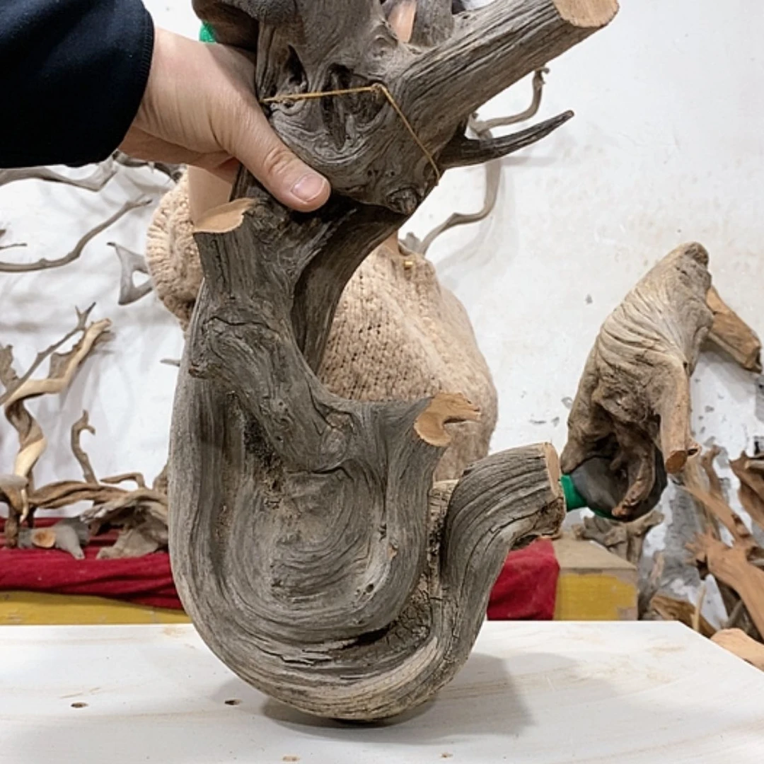 【闪购商品】柏木蝉我们都是好孩子