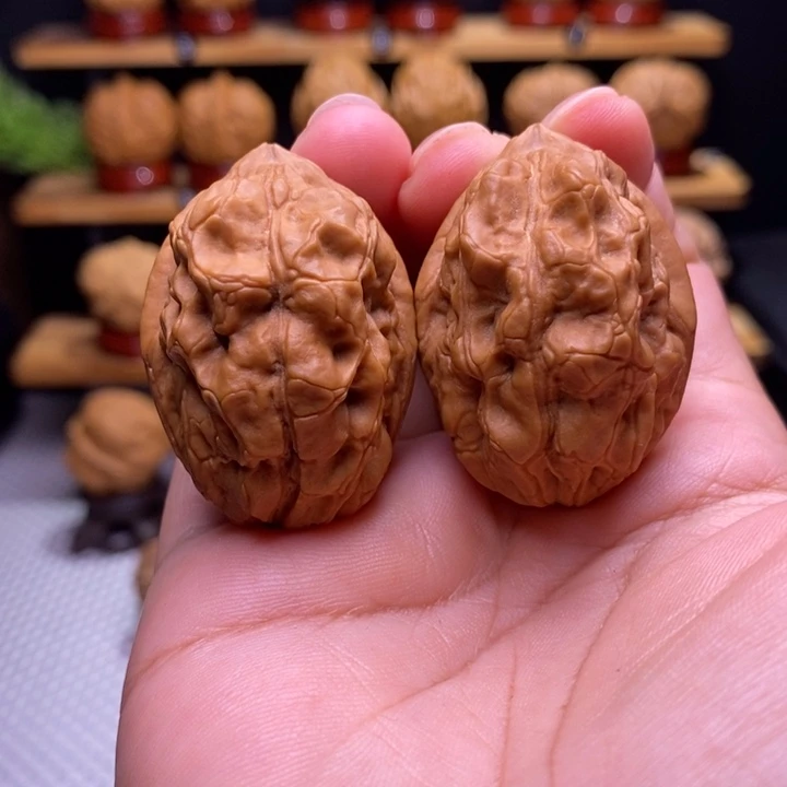 核桃云铁毒蝎子27号