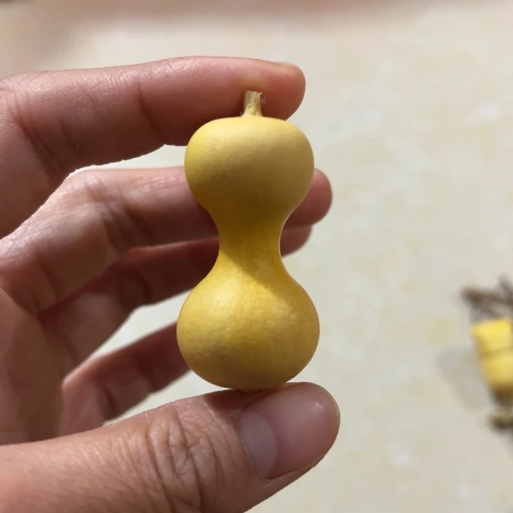 葫芦葫芦葫芦葫芦