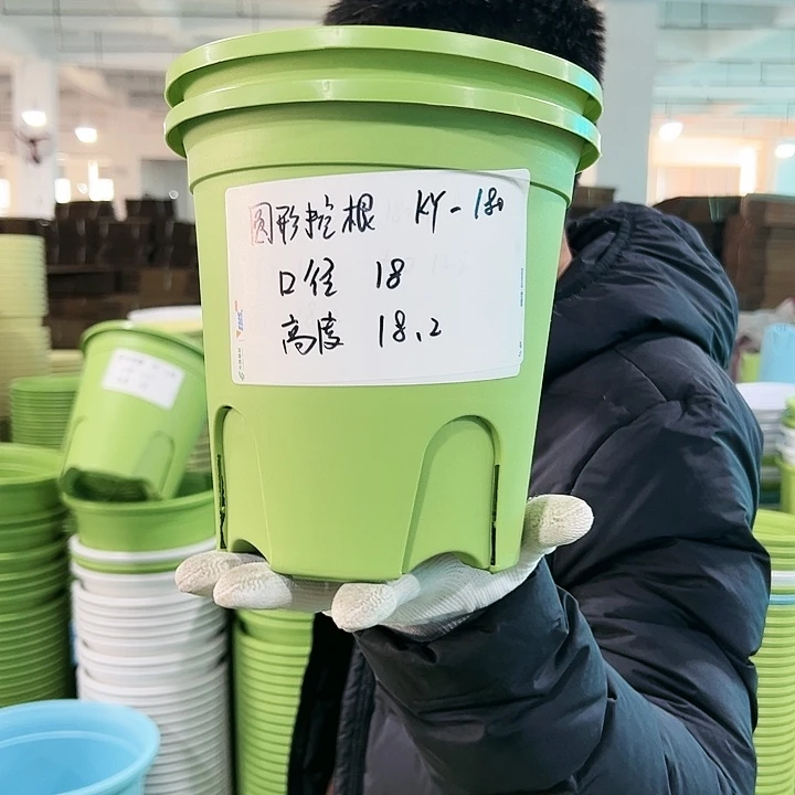 正品圆控口18高18果绿8只无托