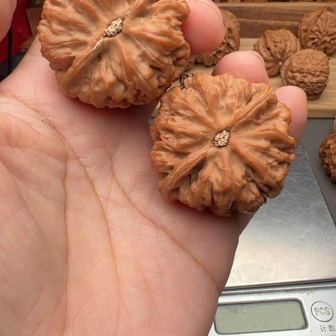 Y****把件文玩核桃粗筋