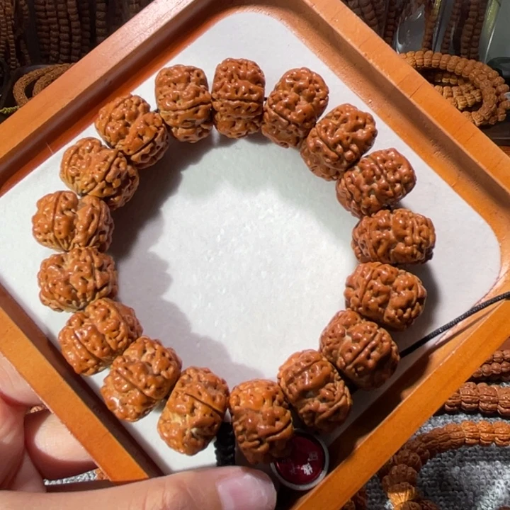 手串金刚菩提天花板帝王花单圈