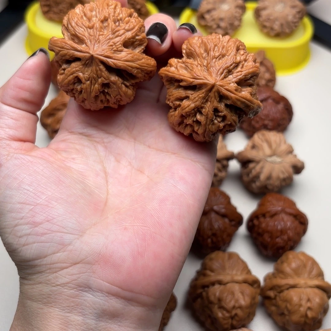 大叶紫檀（黑酸枝木类）