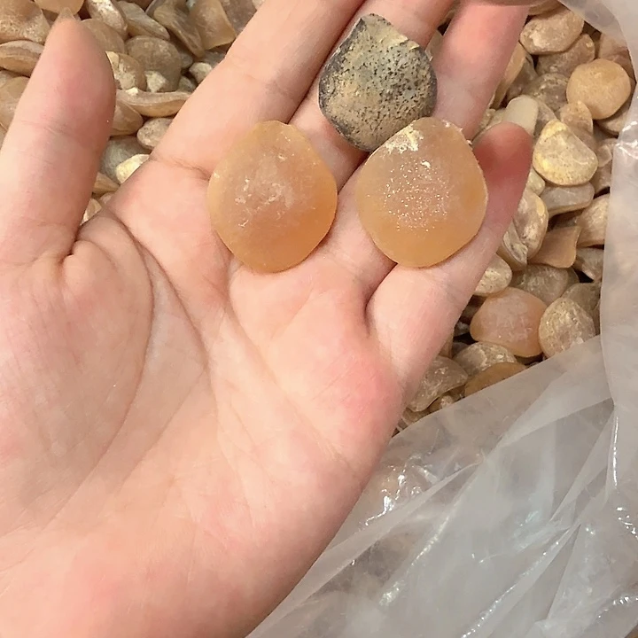青鱼石青鱼石青鱼石