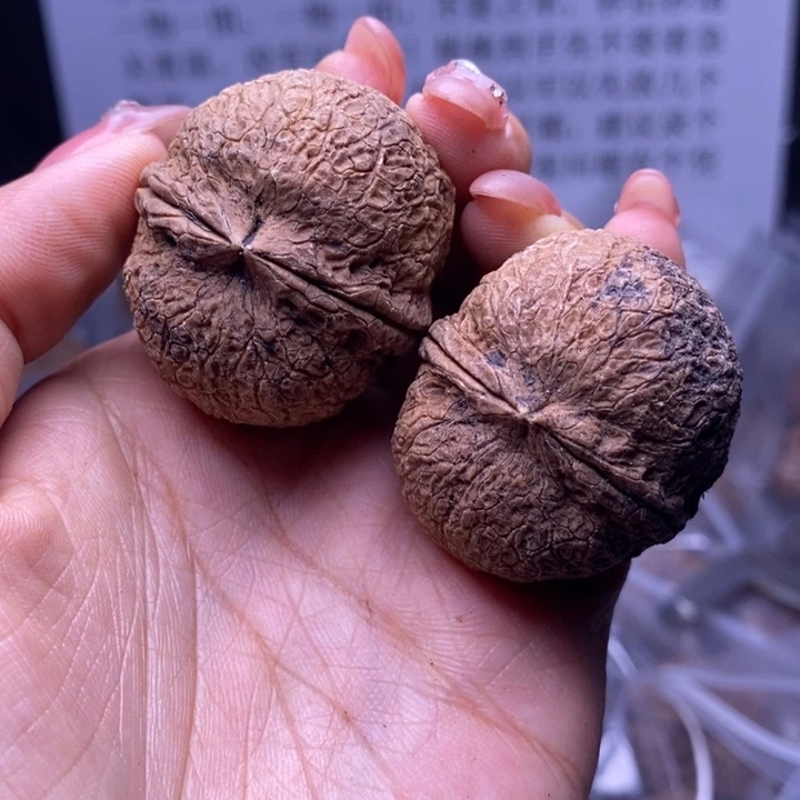 核桃云南野生铁核桃104号38mm