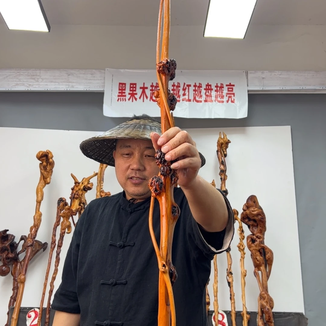 黑果木其他震*黑果木451