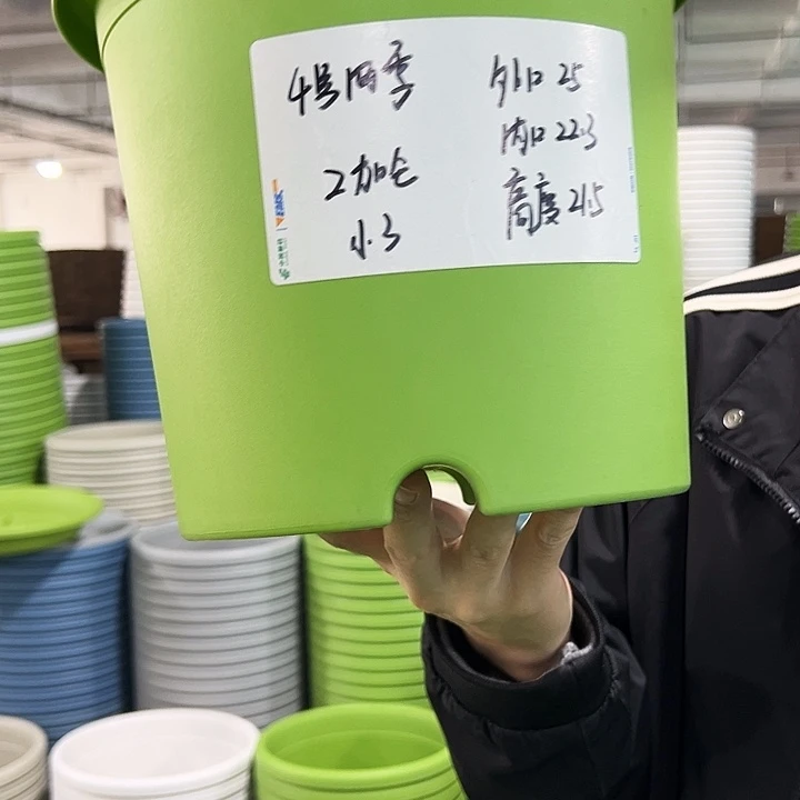 特价4号四季口25高21.5果绿无托8只