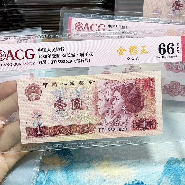15581629。。。金龙王