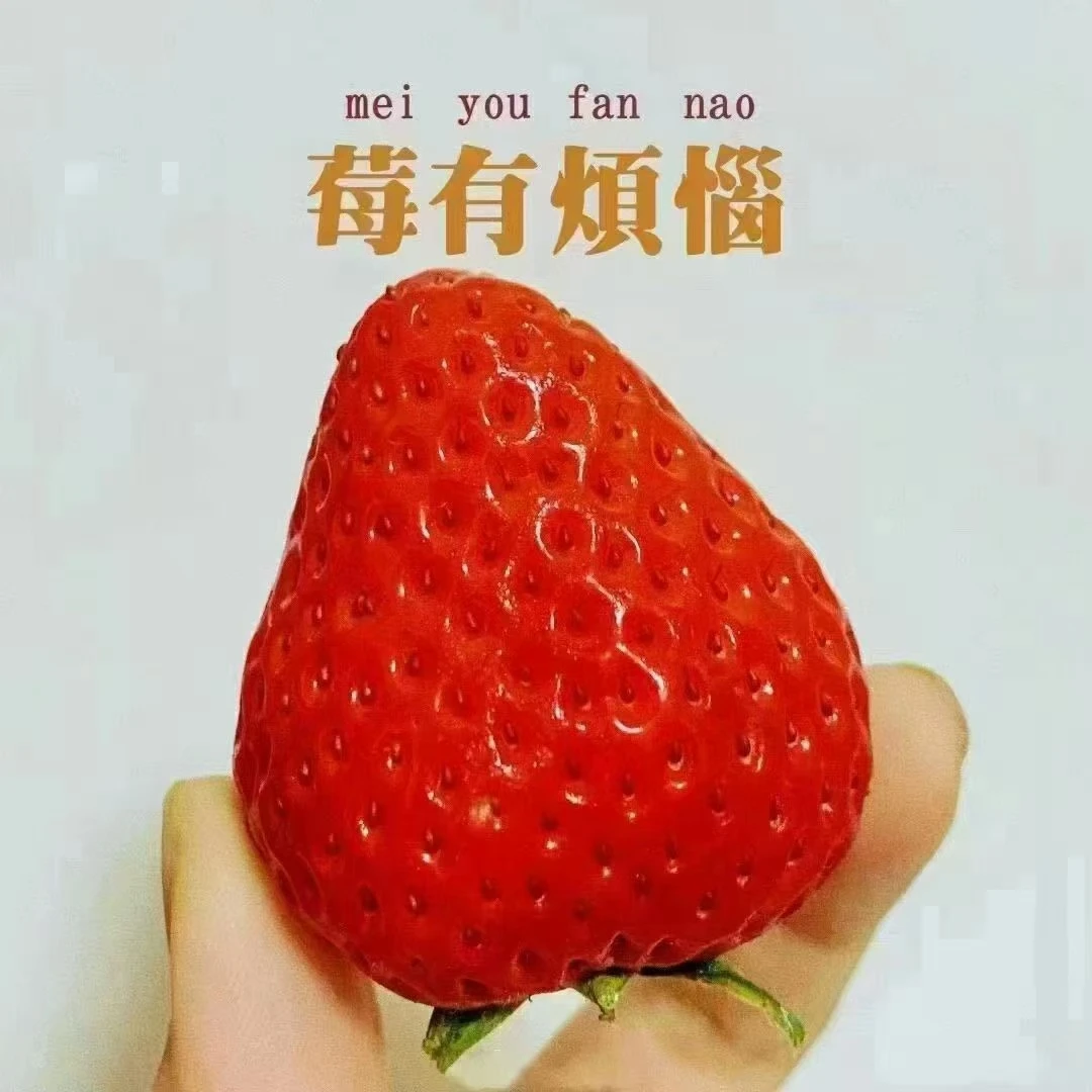 元旦福利[嗨吃节活动丹东久久草莓]纯甜香甜新鲜应季现摘现发顺丰同城送货上门辽宁省