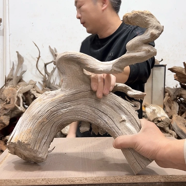 柏木喜*杨我们都是好孩子呀我也是