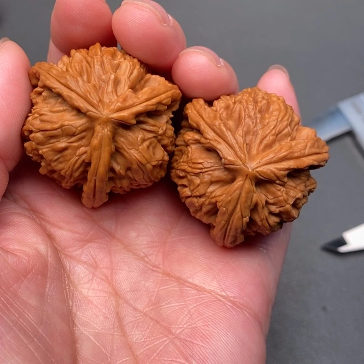 毕***乐木质类核桃核桃核桃