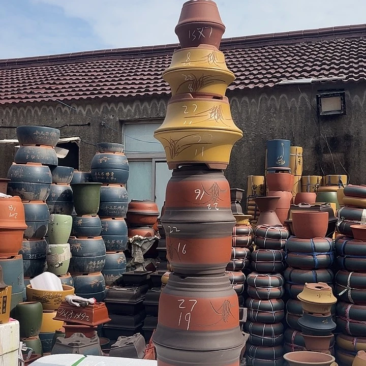 紫砂紫砂花盆盆栽