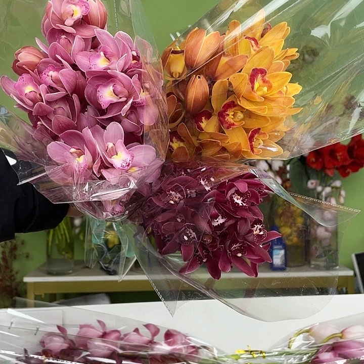 完全开放小兰3把组合