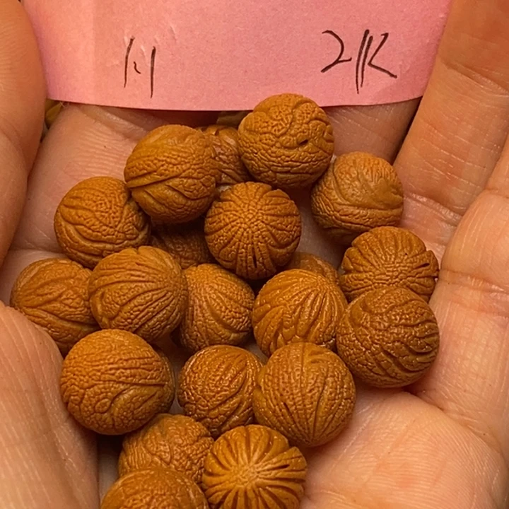 桃核吊坠秦岭龙纹11尺寸