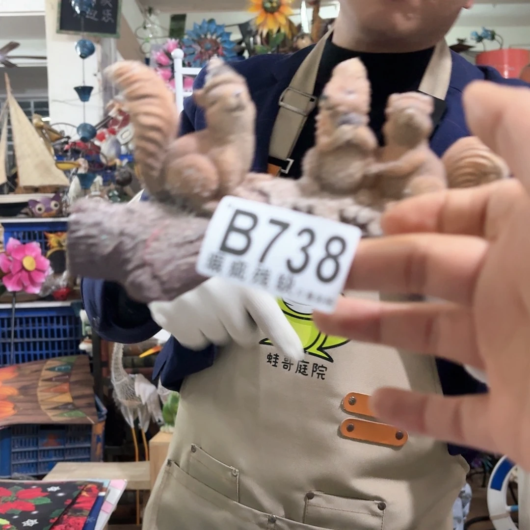 核桃木/黑胡桃（胡桃木）