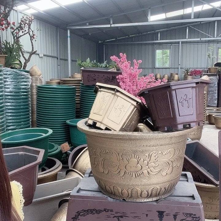 盆景8855569859999999