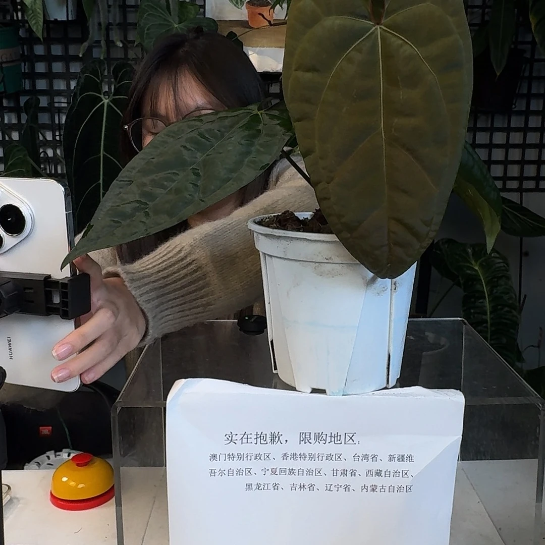 西***酱完全开放G97黑凤凰杂papi