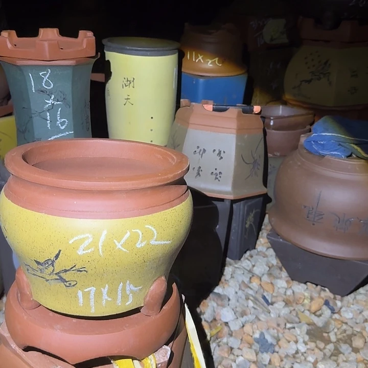 紫砂花盆紫砂花盆