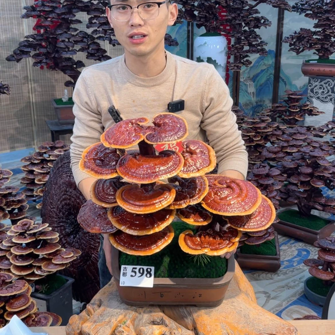 【闪购商品】88888