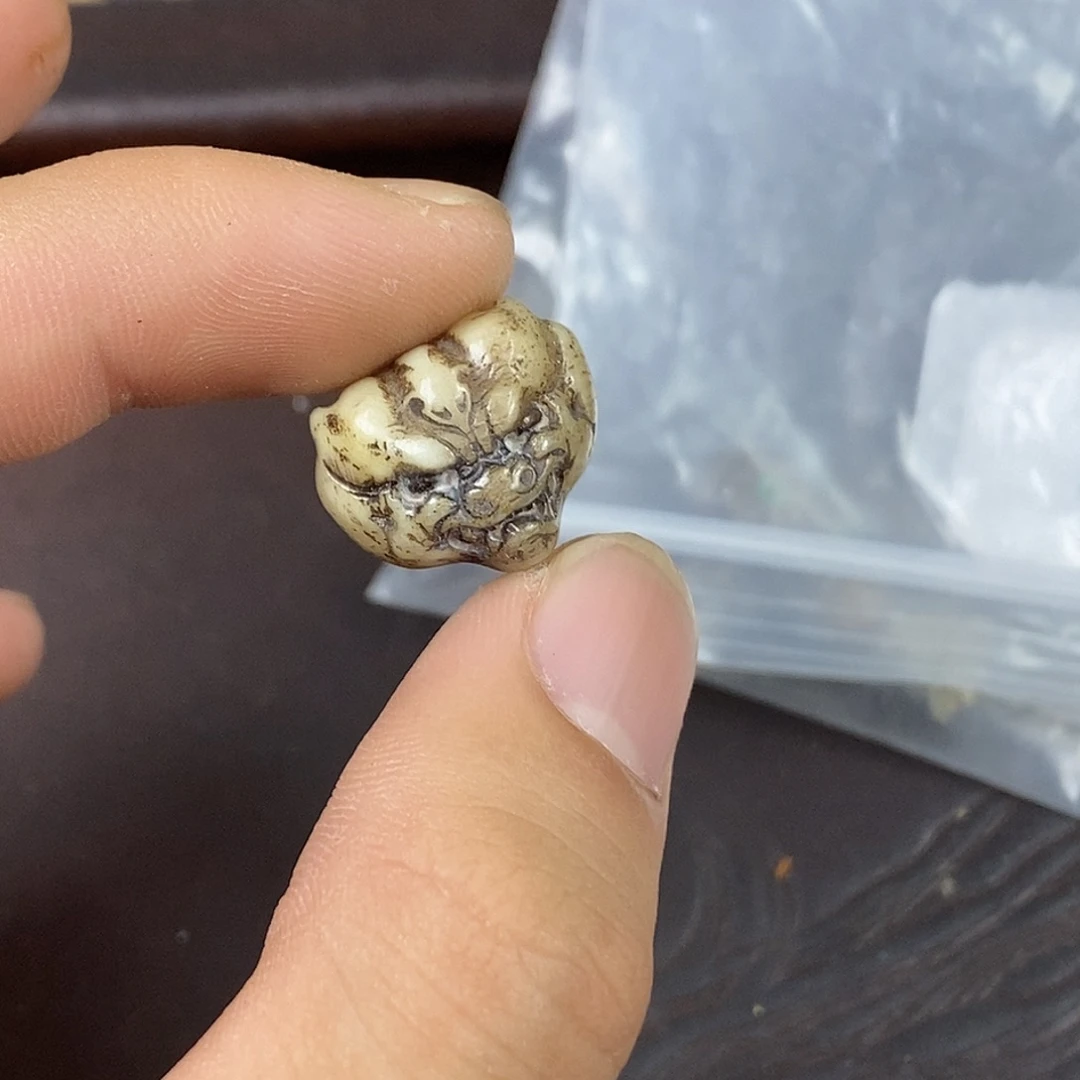 驼骨其他1.6尺寸,31
