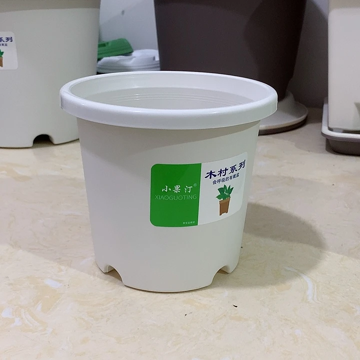 小果汀15口白10个无托