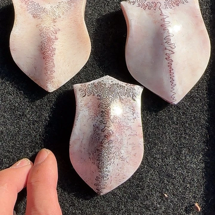 ᝰ****养殖鹿头骨制作 三界牌三个