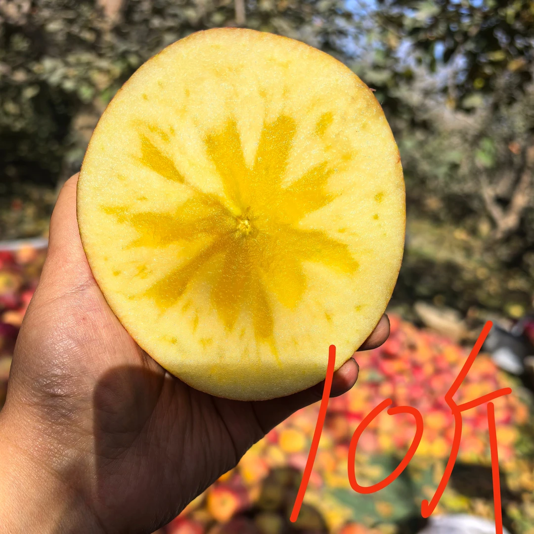 阿克苏红旗坡果园直发冰糖心苹果