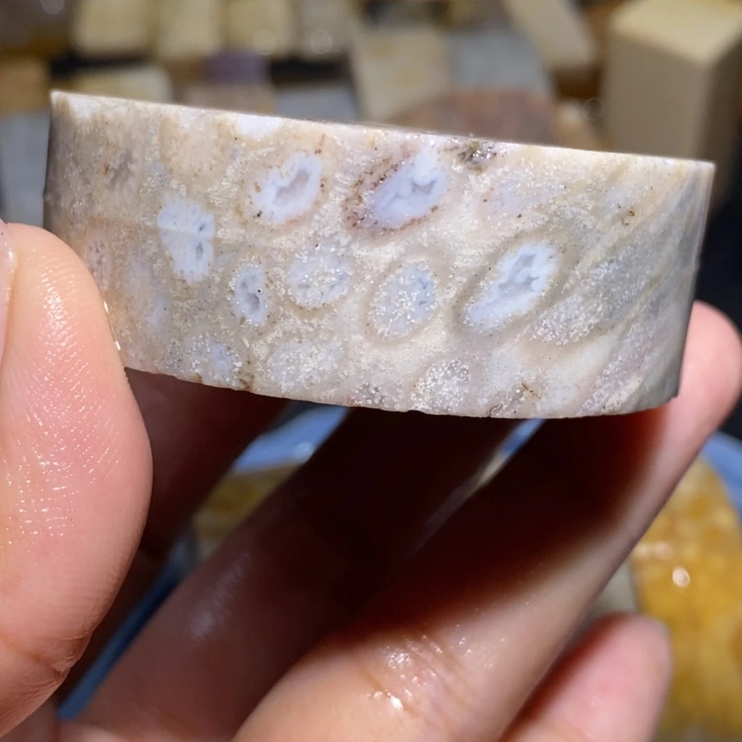 【闪购商品】硅化玉珊瑚玉未镶嵌