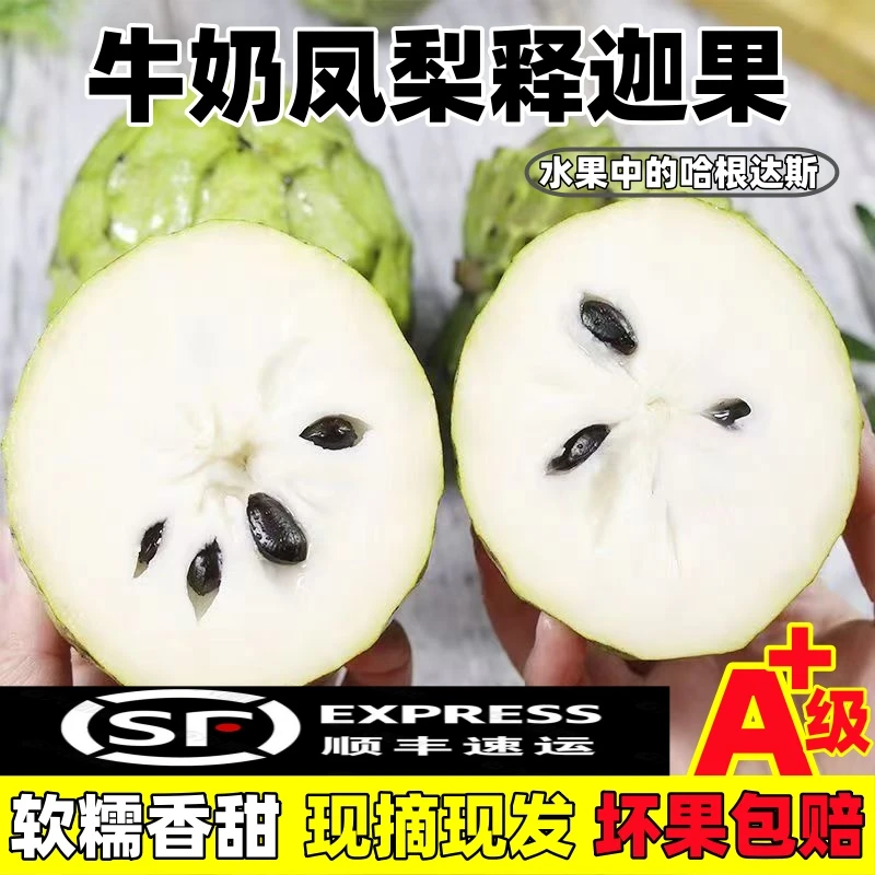 【顺丰快递】云南牛奶凤梨释迦果新鲜水果香甜大目佛头摩尼整箱包邮