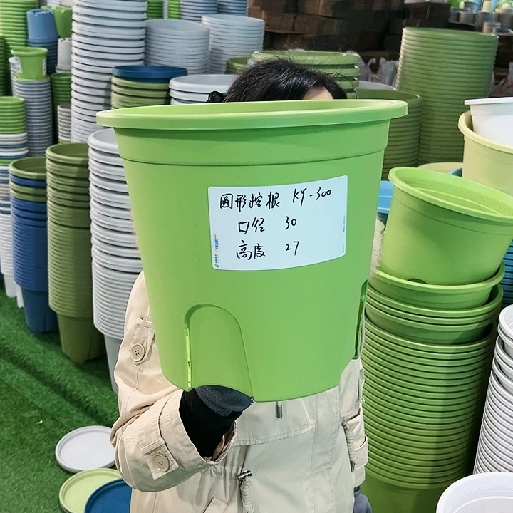 正品圆控口30高27果绿无托4只