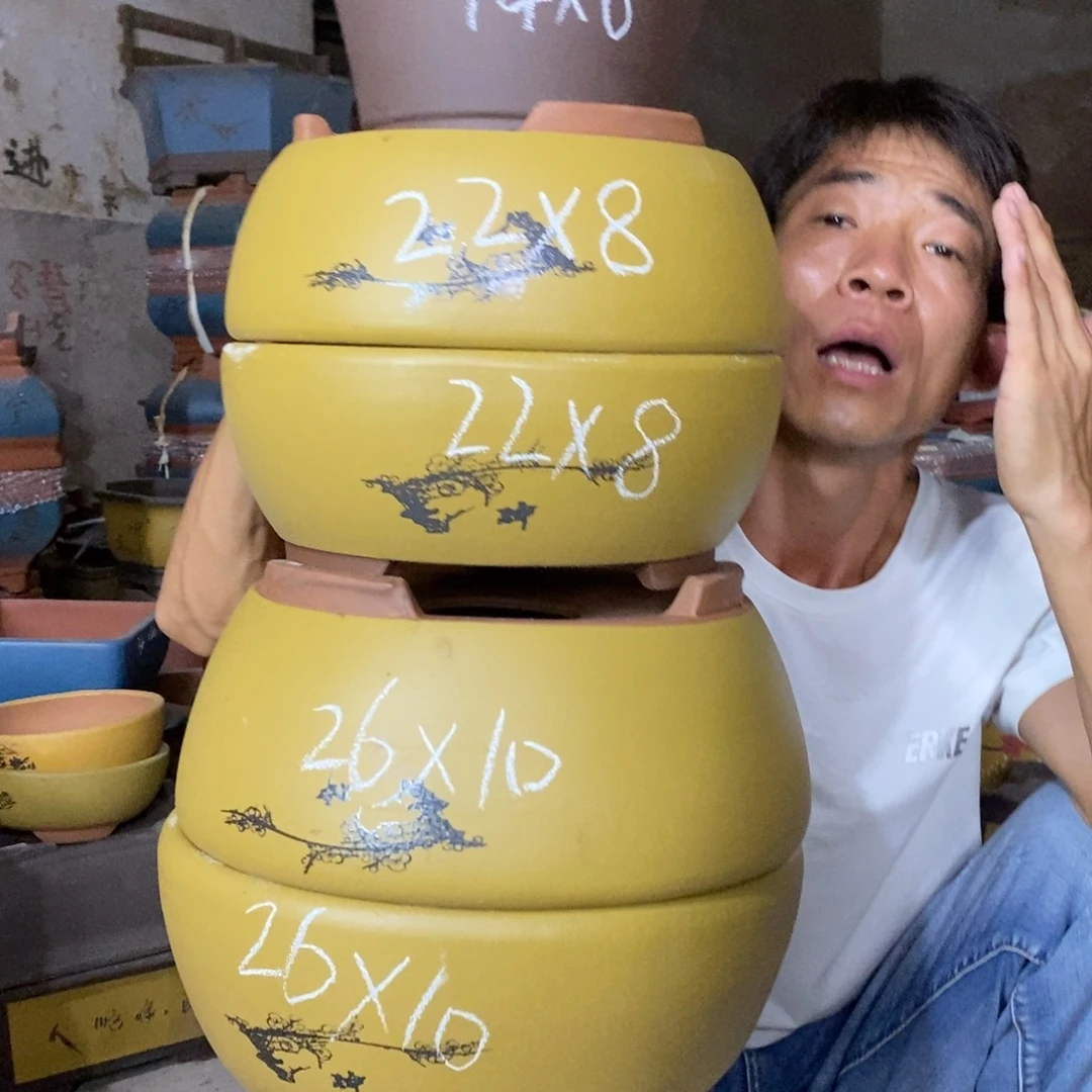 紫砂紫砂紫砂紫砂