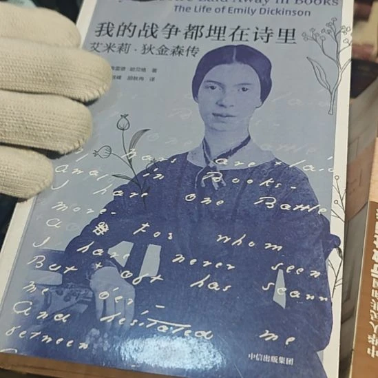 我的战争都埋在诗里平装库存书