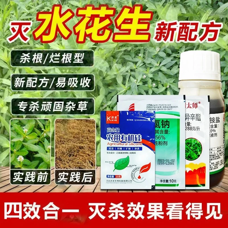 水花生专用除草剂水花生革命草空心莲子草烂根杀水花生节节草农药