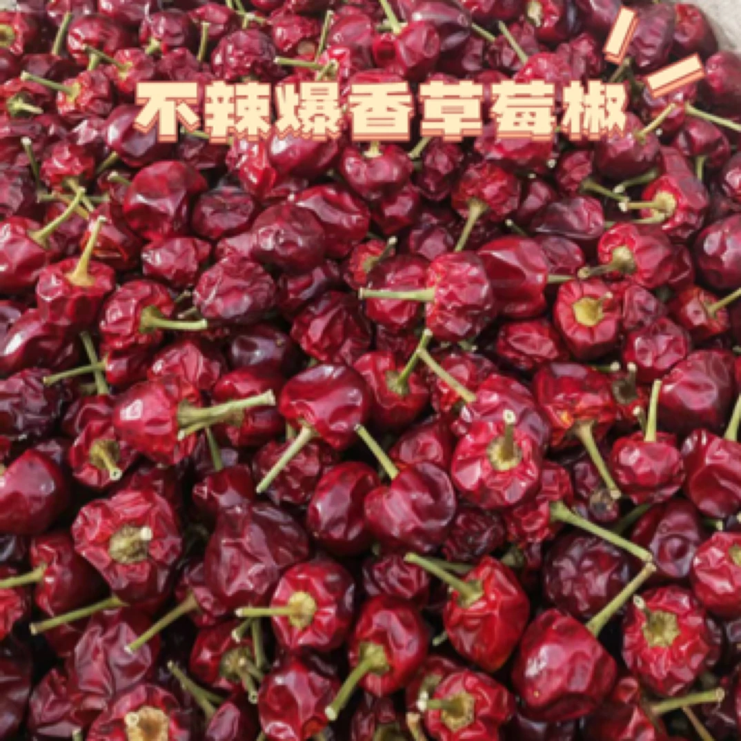 遵义虾子超香干辣椒多种辣度可选适合各种菜肴烹调