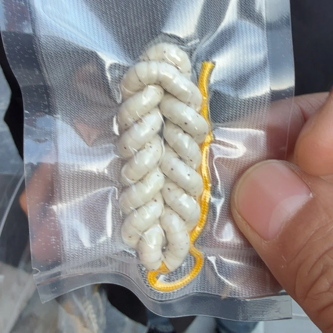 星月菩提吊坠毕业大肠5