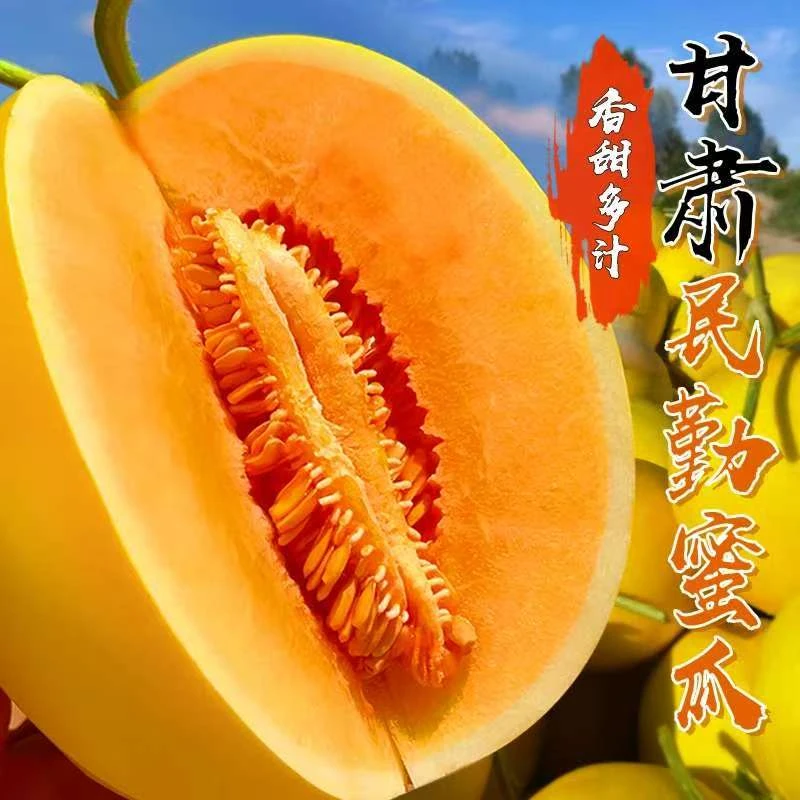 甘肃民勤蜜瓜沙漠蜜瓜甜瓜新鲜水果产地直发L