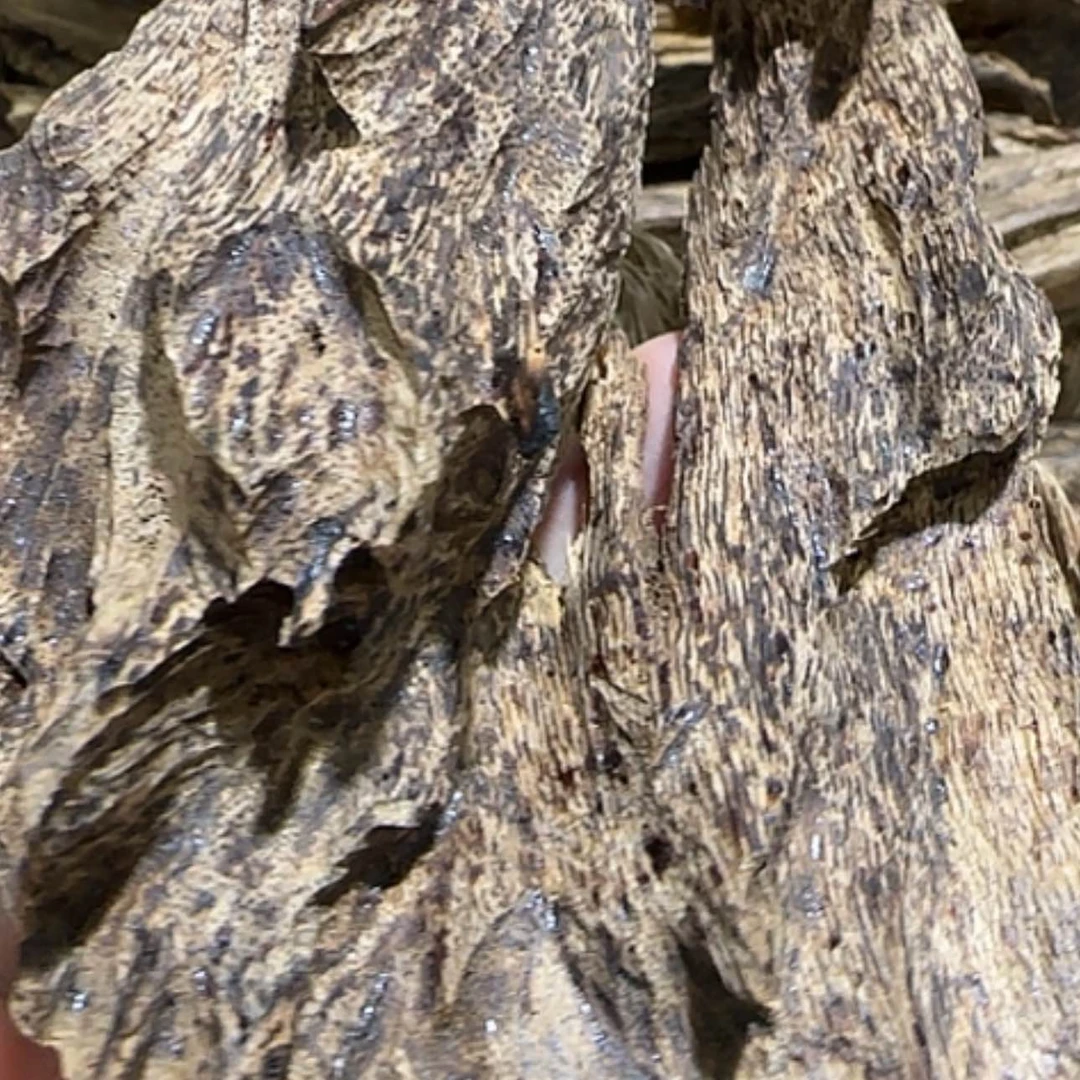 【闪购商品】沉香手串达拉干品香料44.4克