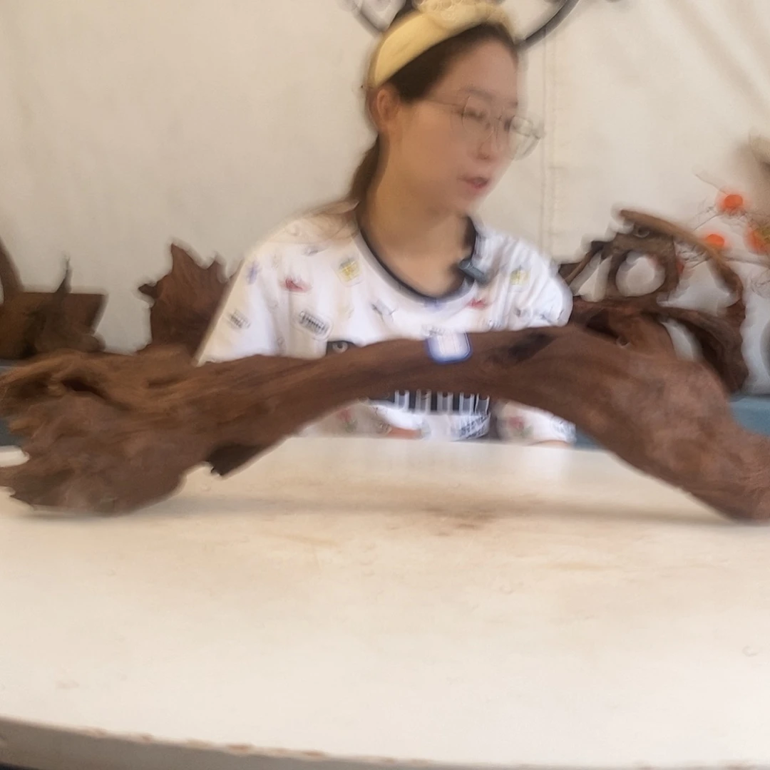 沉木造景寄居蟹景