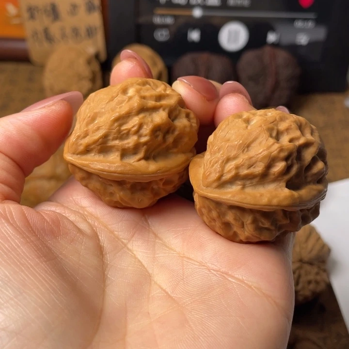 墨***本一物一拍如图所示编号37