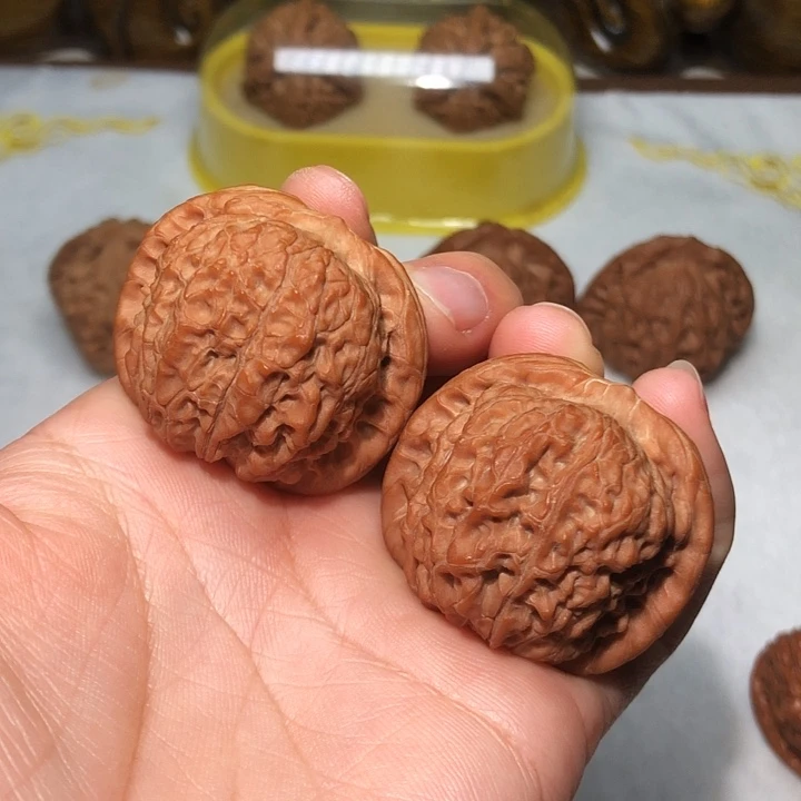 文玩核桃38.5血麒麟