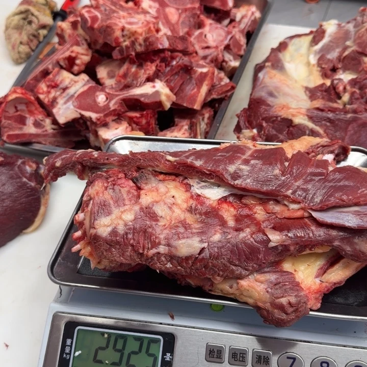 江***哥12中国大陆马边排