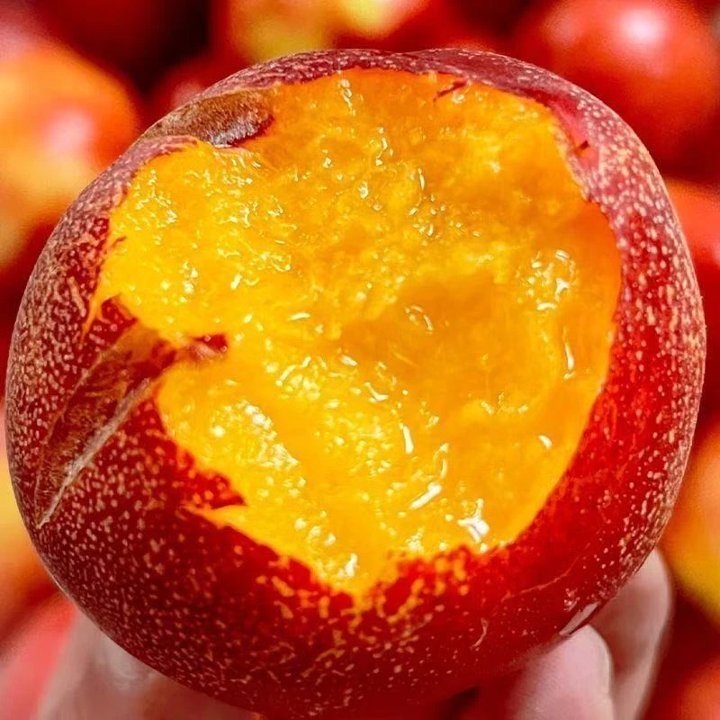 【现摘现发】正宗沂蒙山红油桃 红皮黄肉 纯甜无酸 汁水充足