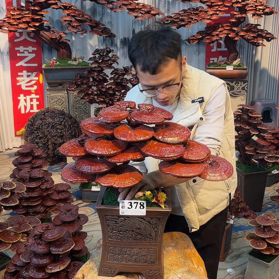 无花朵888888888888