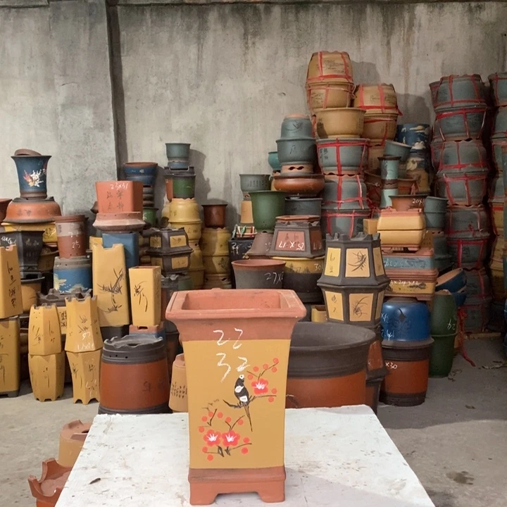 紫砂花盆盆栽花卉种植