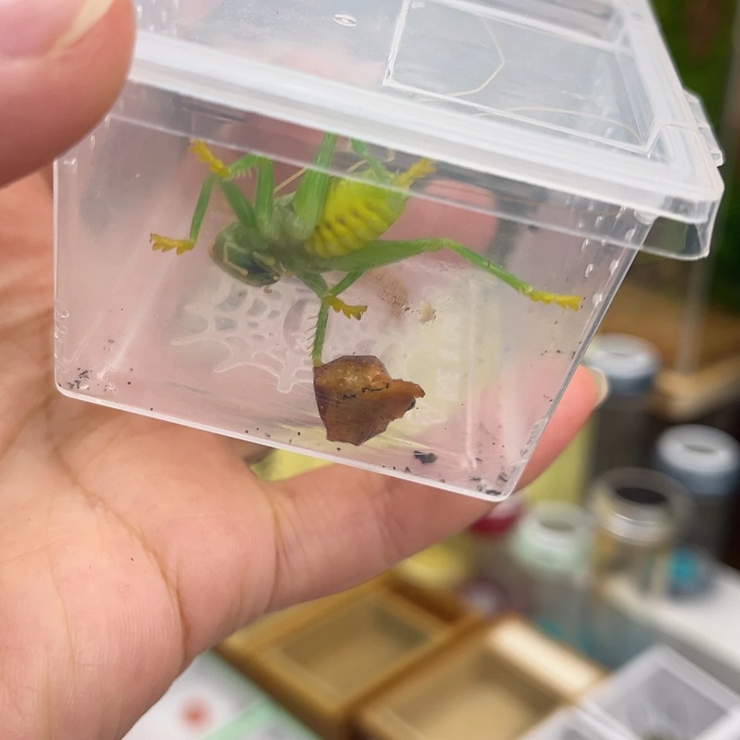 过马山哈哈哈哈哈哈哈