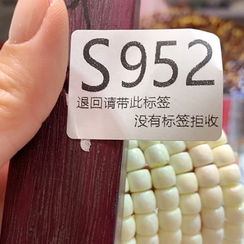 大叶紫檀（黑酸枝木类）952