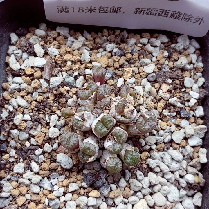 3670。
