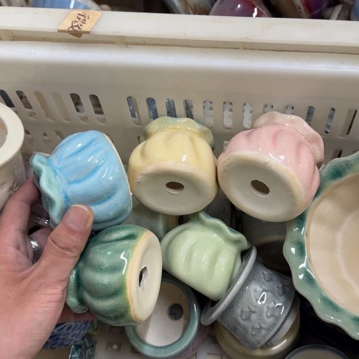 花盆花盆花盆花盆