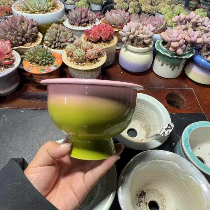 特价花盆 满50发货 内口10.5